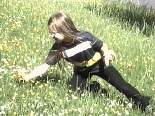 990513b.jpg (78632 Byte)